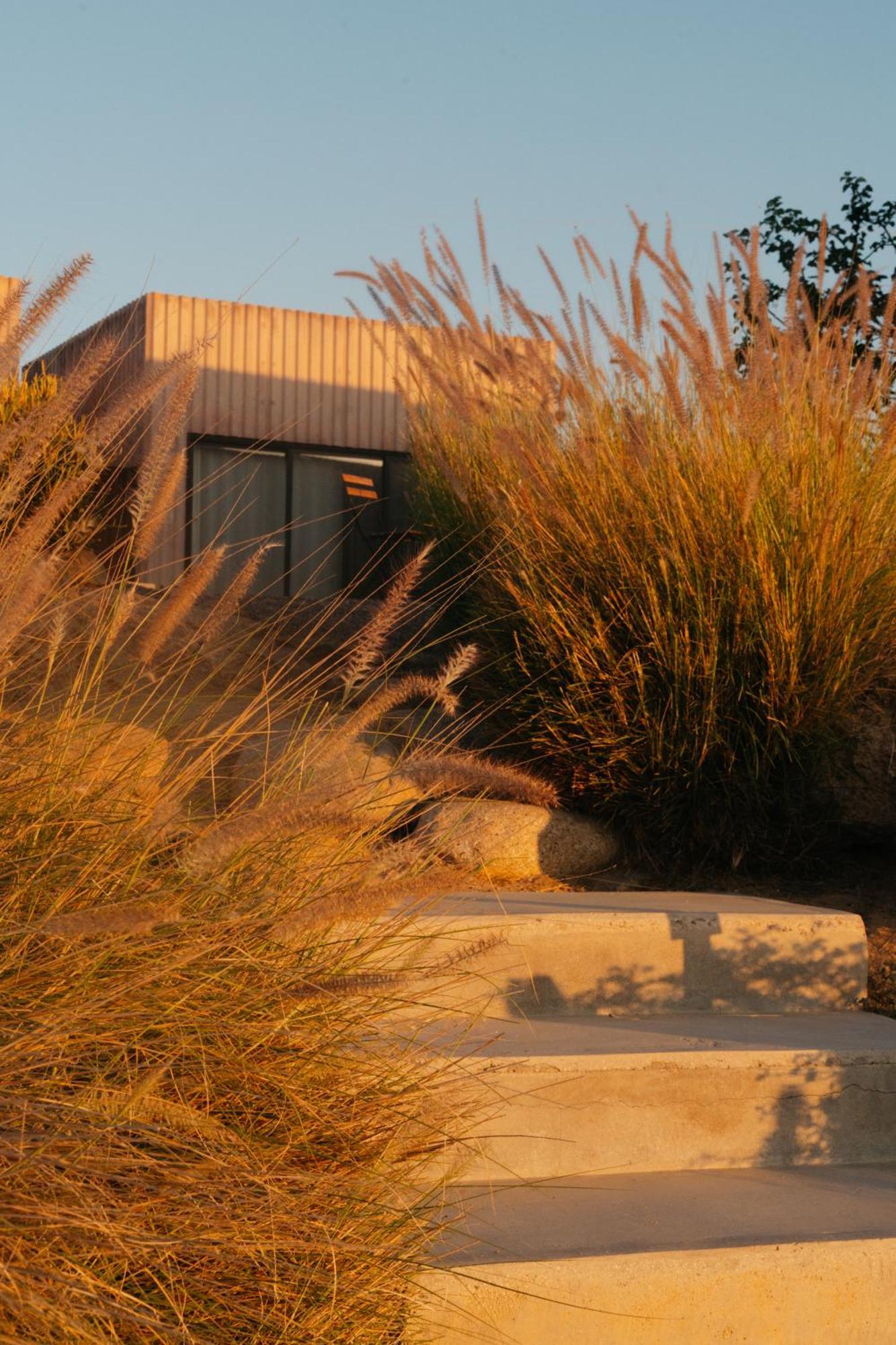 Casa Santos Todos Santos Exterior foto